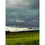 vign-lisse